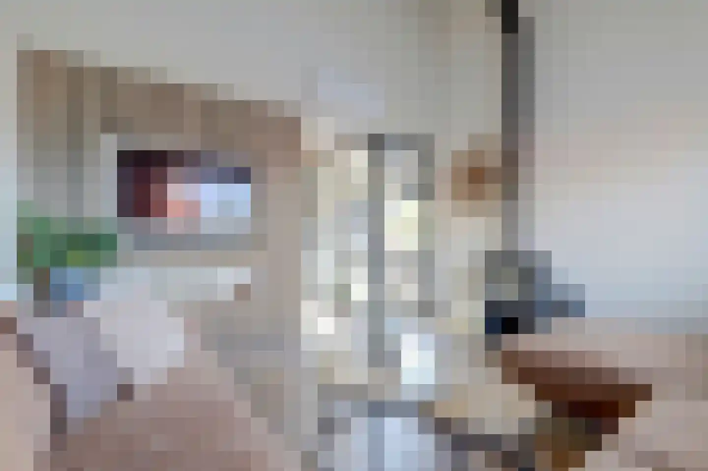 Korenmolen 10 De Lier thumbnail 31