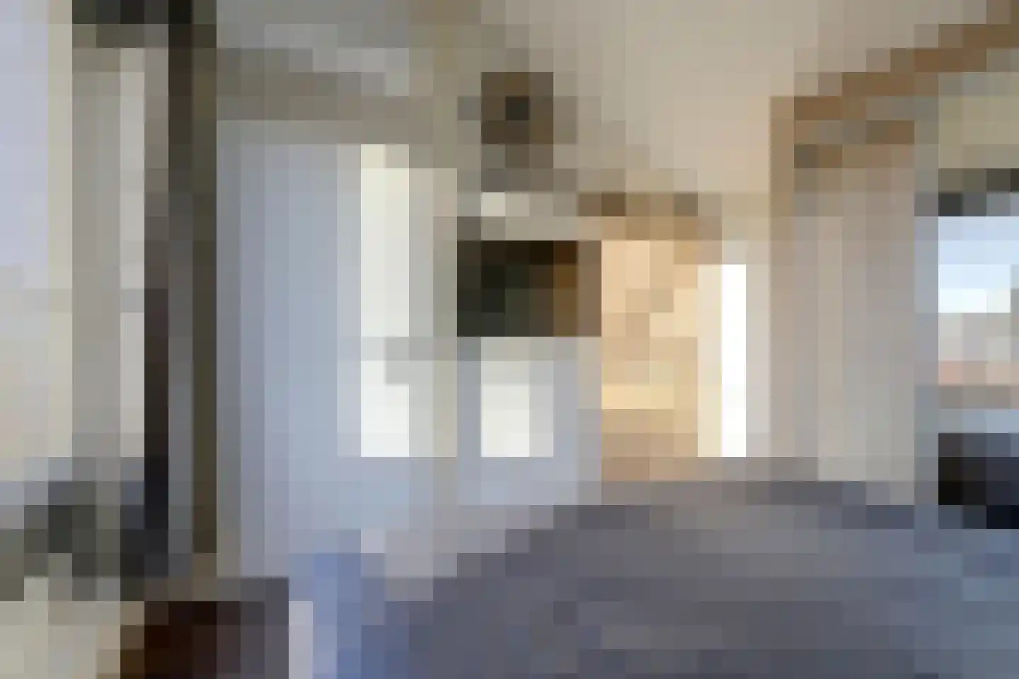 Korenmolen 10 De Lier thumbnail 36