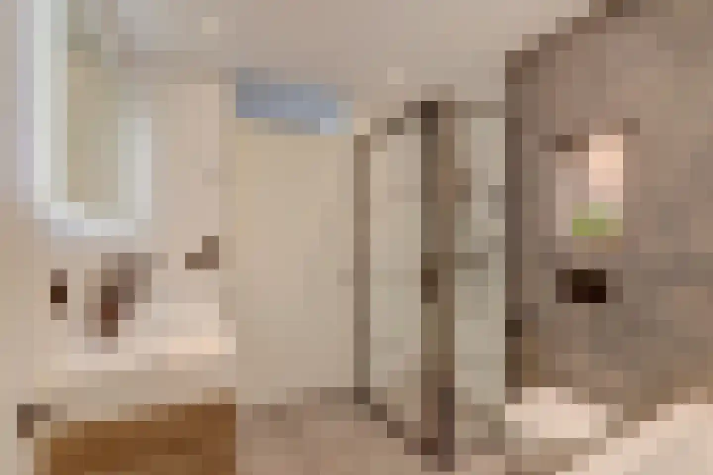 Korenmolen 10 De Lier thumbnail 39