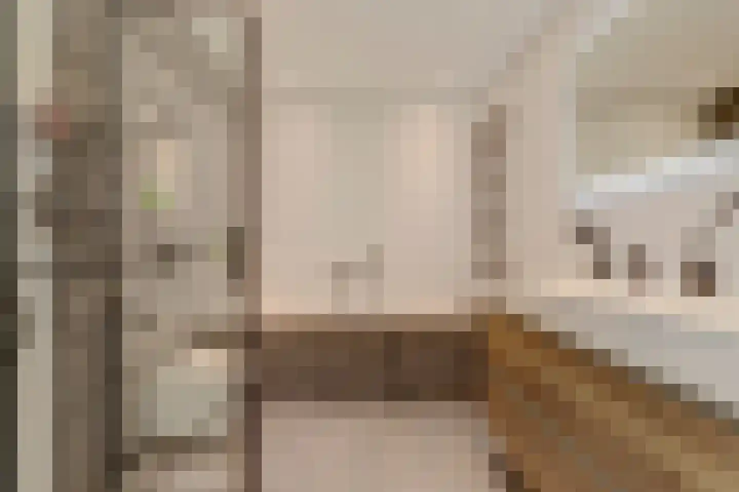 Korenmolen 10 De Lier thumbnail 4