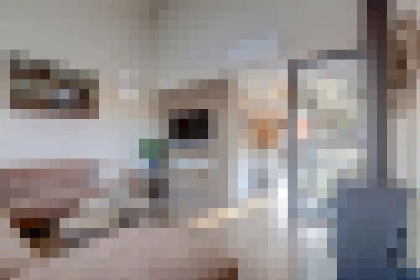 Korenmolen 10 De Lier thumbnail 5
