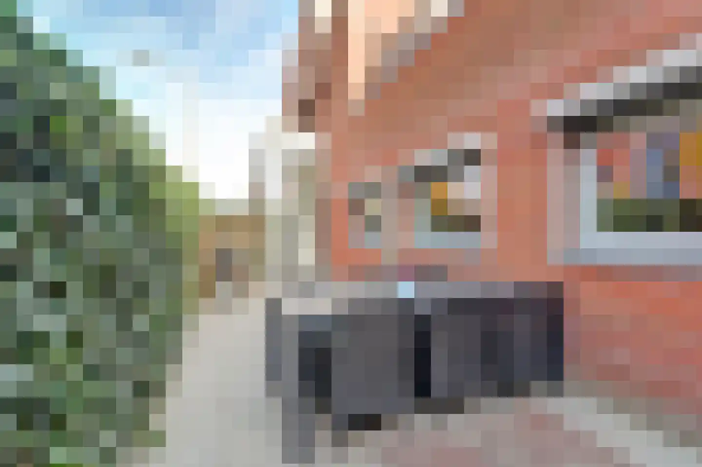 Korenmolen 10 De Lier thumbnail 50