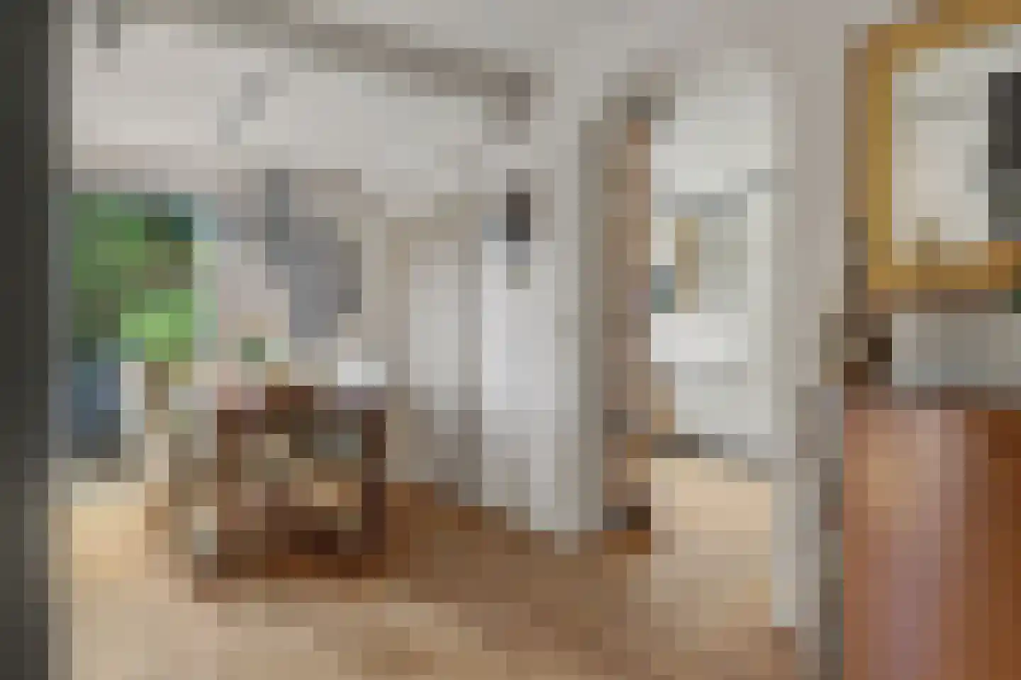 Korenmolen 10 Schagen thumbnail 11