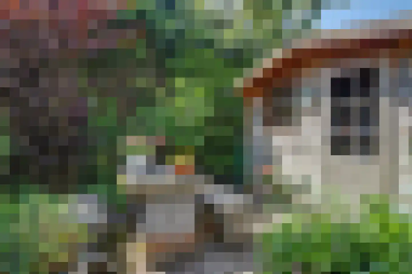 Korenmolen 10 Schagen thumbnail 20