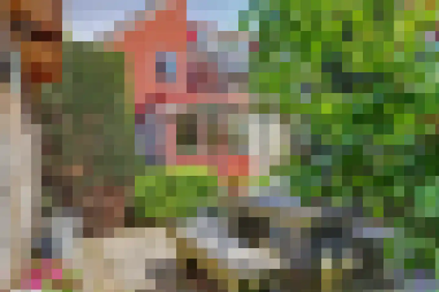 Korenmolen 10 Schagen thumbnail 21