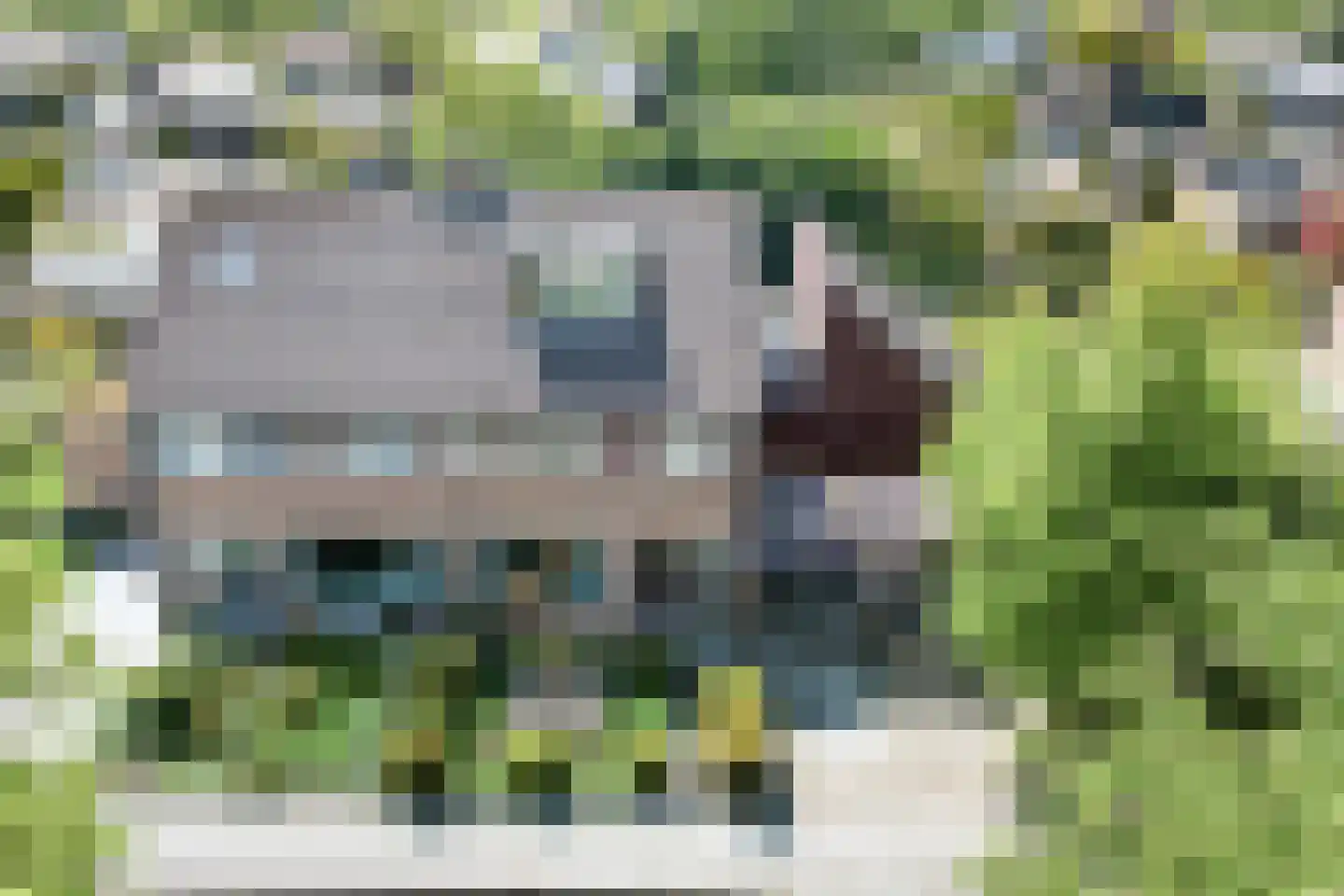 Korenmolen 10 Schagen thumbnail 39