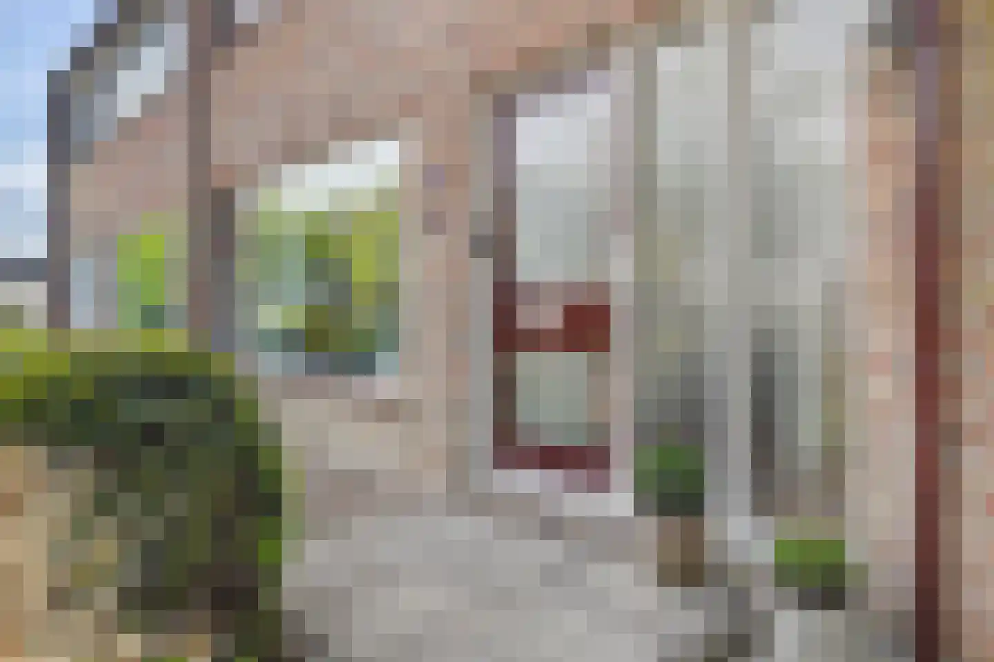 Korenmolen 10 Schagen thumbnail 6