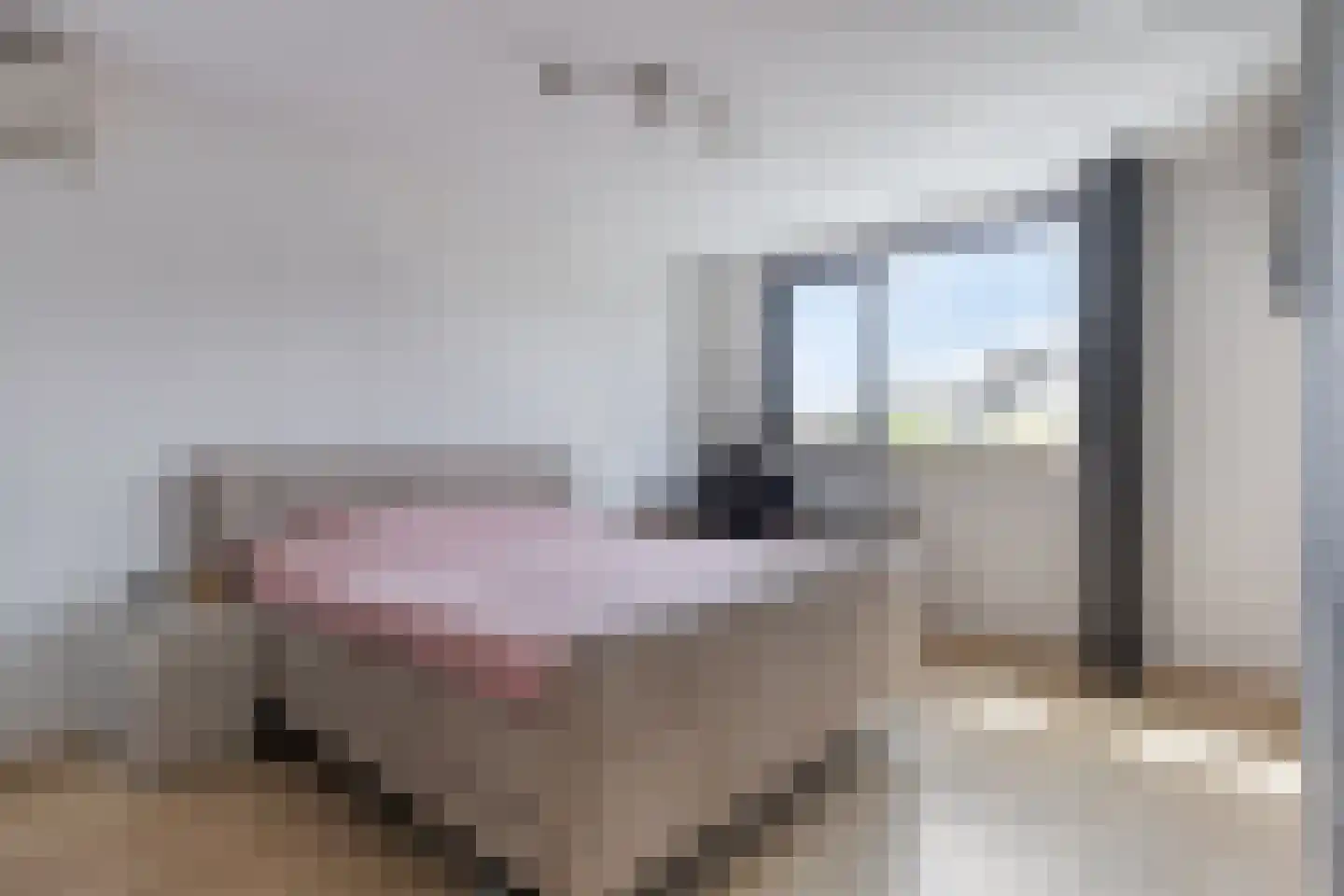 Korenmolen 11 Capelle aan den IJssel thumbnail 18