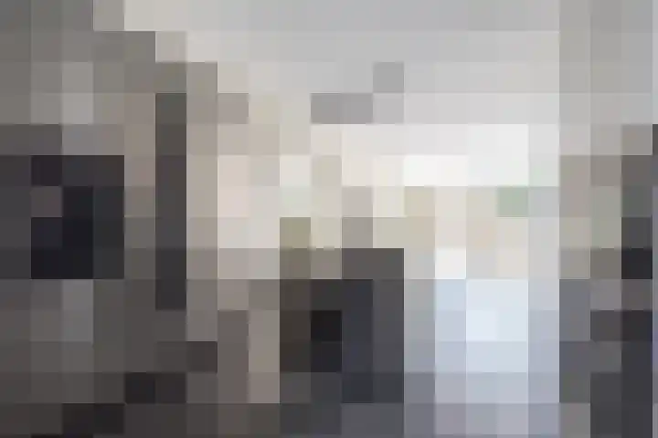 Korenmolen 13 Alphen aan den Rijn thumbnail 10