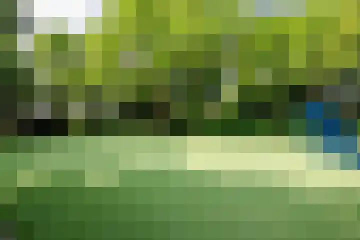 Korenmolen 13 Alphen aan den Rijn thumbnail 28