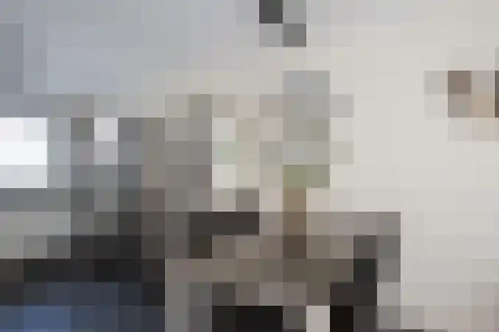 Korenmolen 13 Alphen aan den Rijn thumbnail 7