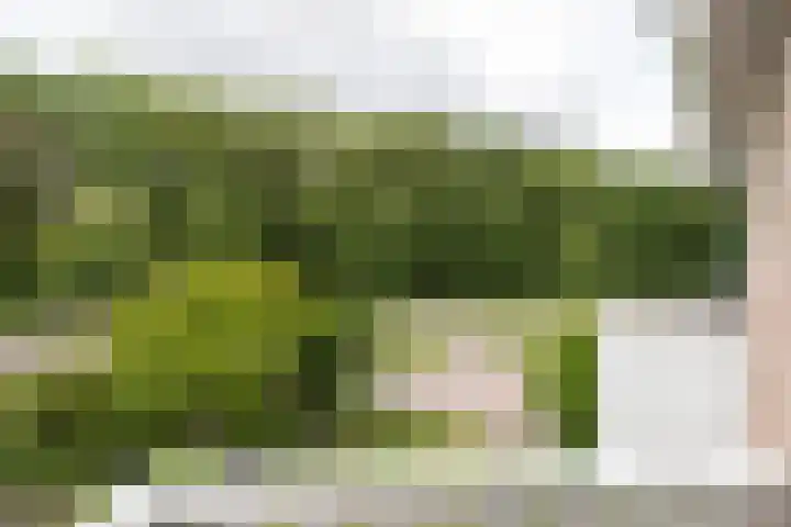 Korenmolen 13 Smilde thumbnail 20