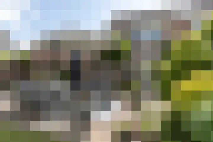 Korenmolen 13 Smilde thumbnail 32