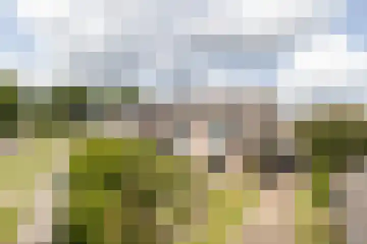 Korenmolen 13 Smilde thumbnail 4