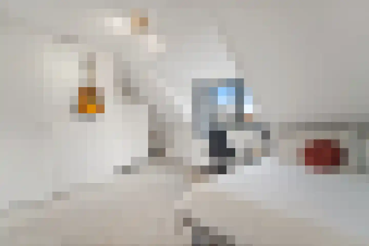Korenmolen 14 Delft thumbnail 42