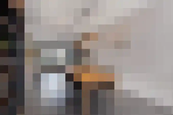 Korenmolen 14 Espel thumbnail 12