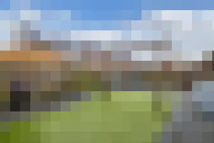 Korenmolen 14 Espel thumbnail 20