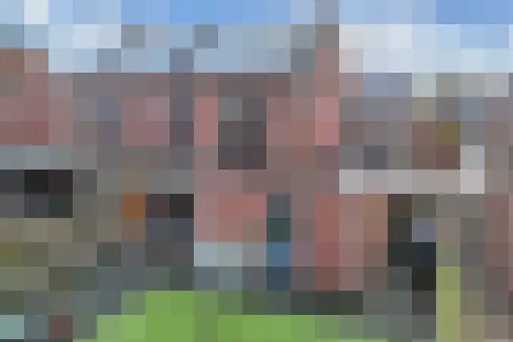 Korenmolen 14 Espel thumbnail 25