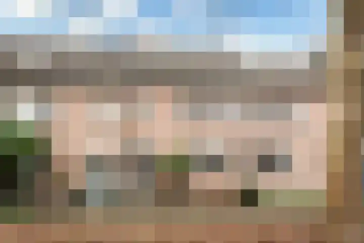 Korenmolen 149 in Alphen aan den Rijn