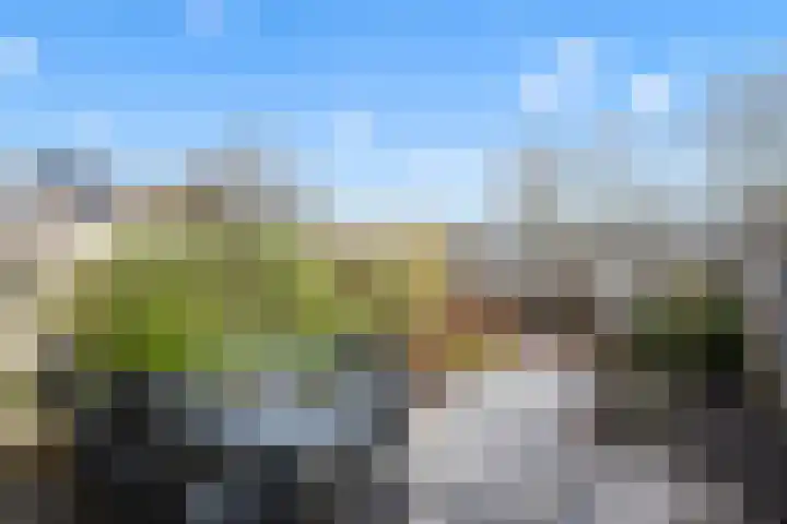 Korenmolen 149 Alphen aan den Rijn thumbnail 15
