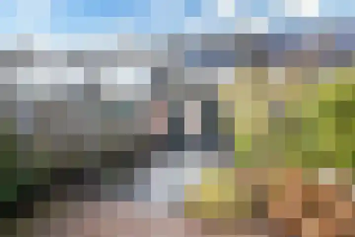 Korenmolen 149 Alphen aan den Rijn thumbnail 17
