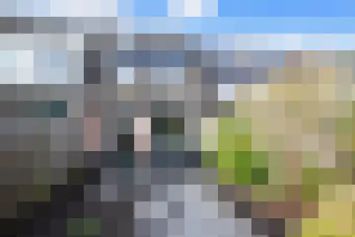 Korenmolen 149 Alphen aan den Rijn thumbnail 18