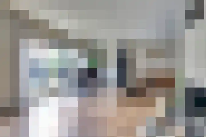 Korenmolen 17 De Lier thumbnail 10