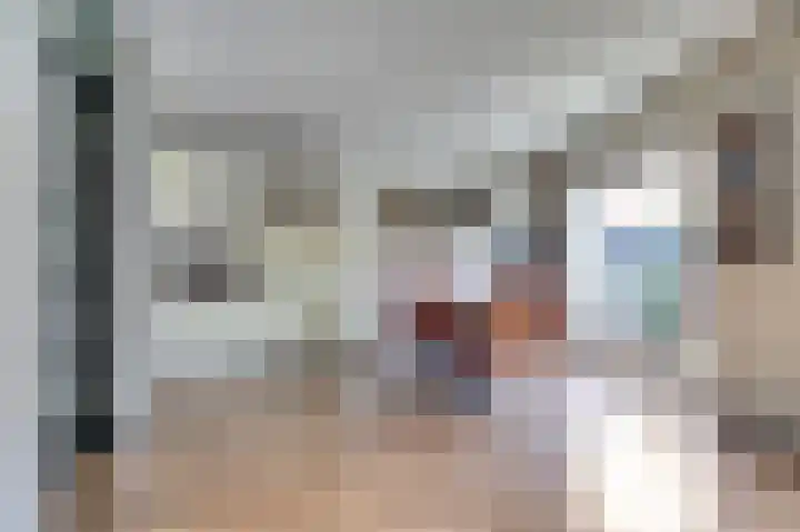Korenmolen 17 De Lier thumbnail 12