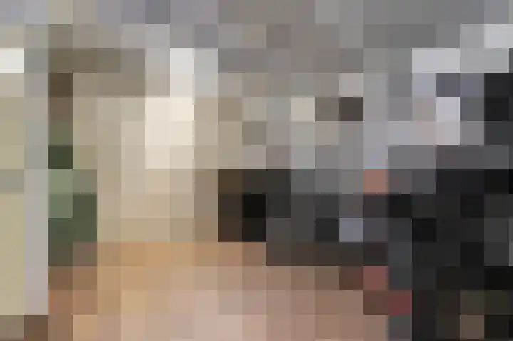 Korenmolen 17 De Lier thumbnail 17