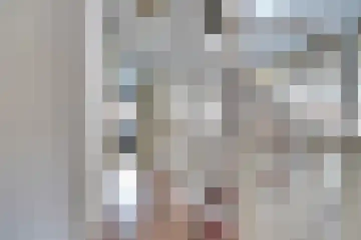 Korenmolen 17 De Lier thumbnail 18