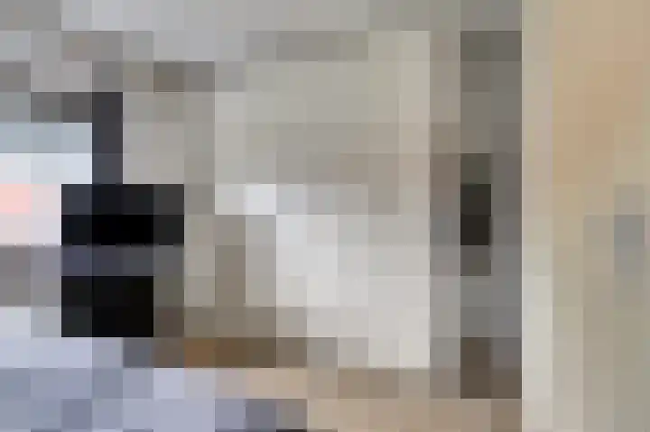Korenmolen 17 De Lier thumbnail 20