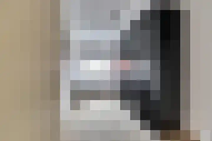 Korenmolen 17 De Lier thumbnail 21