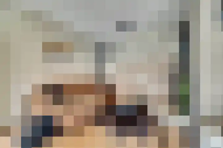Korenmolen 17 De Lier thumbnail 8