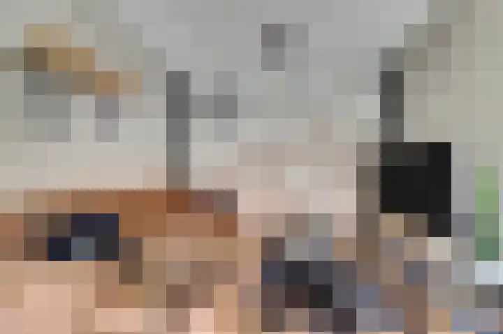 Korenmolen 17 De Lier thumbnail 9