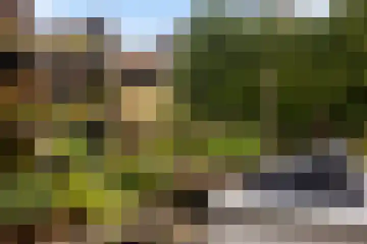 Korenmolen 17 Espel thumbnail 17