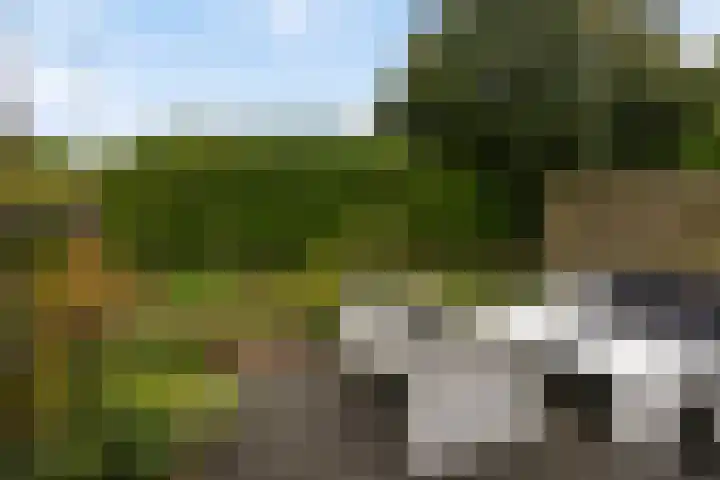 Korenmolen 17 Espel thumbnail 30