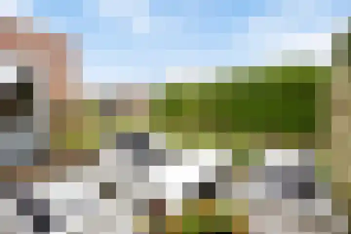 Korenmolen 17 Espel thumbnail 31