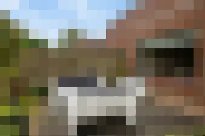 Korenmolen 17 Espel thumbnail 33