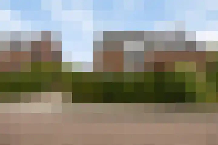Korenmolen 17 Espel thumbnail 35