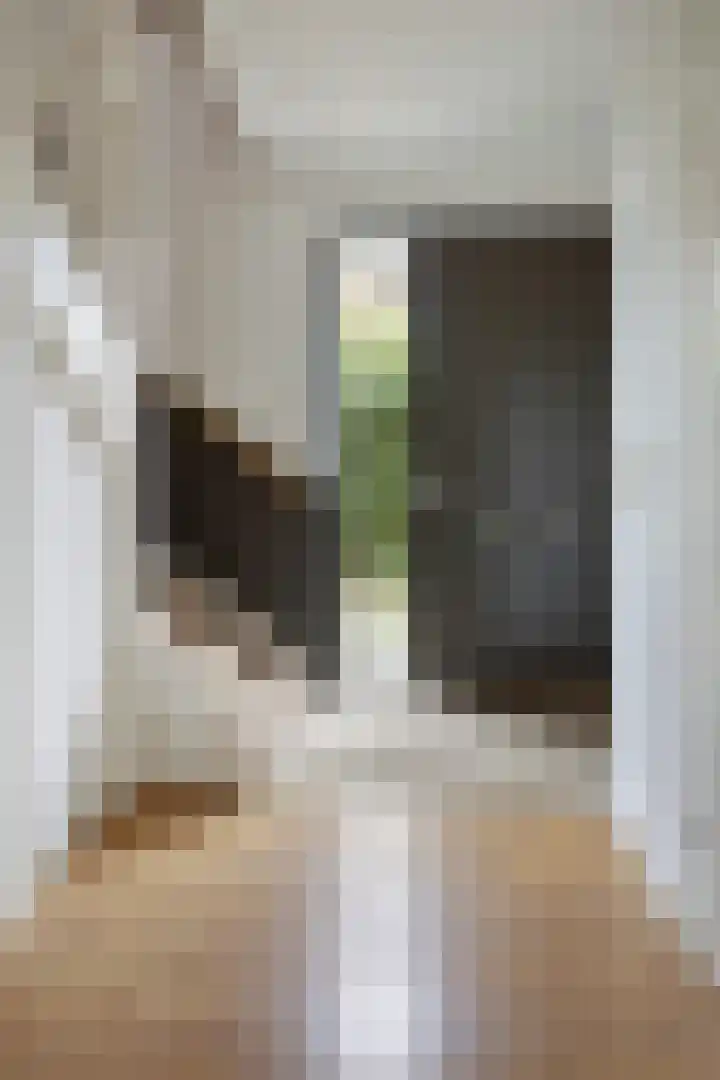 Korenmolen 17 Espel thumbnail 6