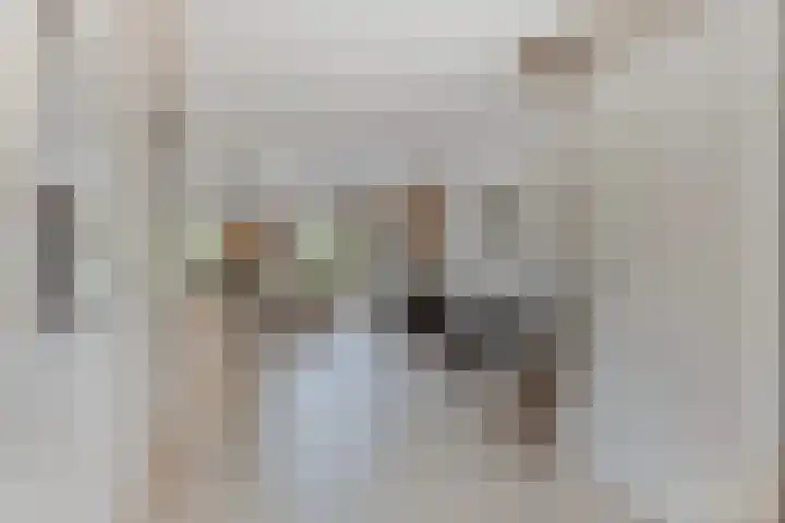 Korenmolen 17 Nieuwe Niedorp thumbnail 12