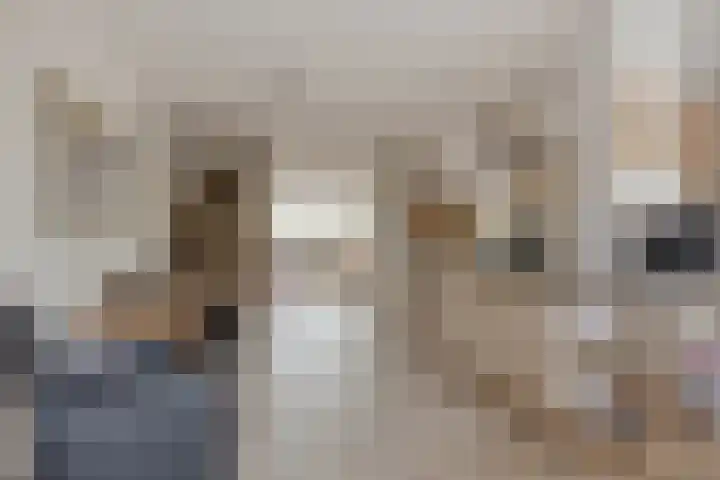 Korenmolen 17 Nieuwe Niedorp thumbnail 13