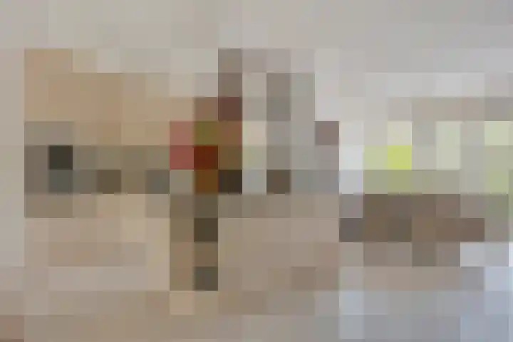 Korenmolen 17 Nieuwe Niedorp thumbnail 14