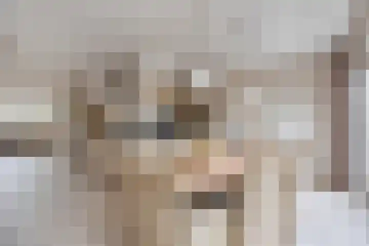 Korenmolen 17 Nieuwe Niedorp thumbnail 17