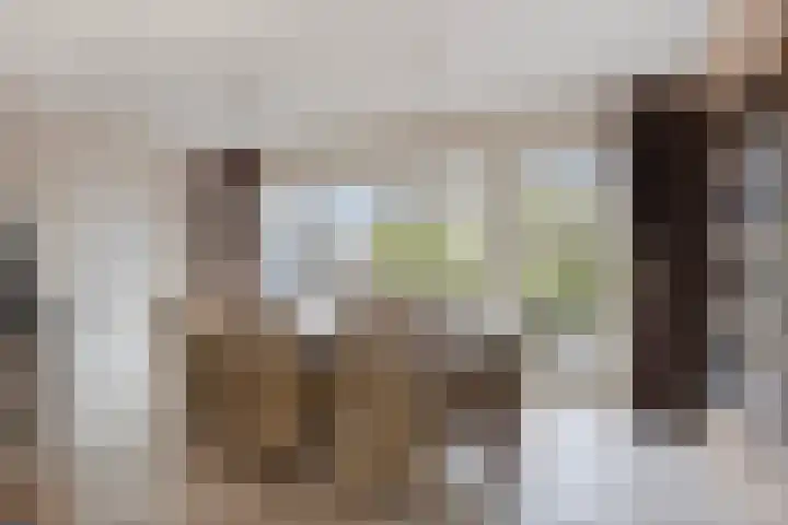 Korenmolen 17 Nieuwe Niedorp thumbnail 18