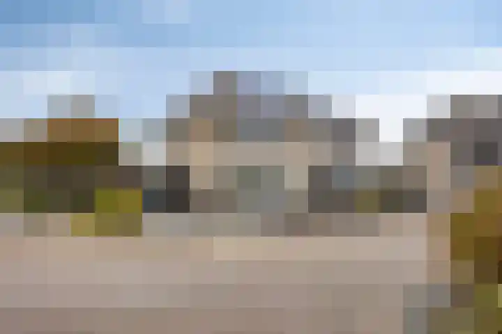 Korenmolen 17 Nieuwe Niedorp thumbnail 37