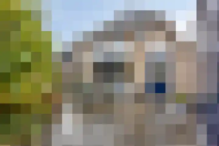 Korenmolen 17 Nieuwe Niedorp thumbnail 39