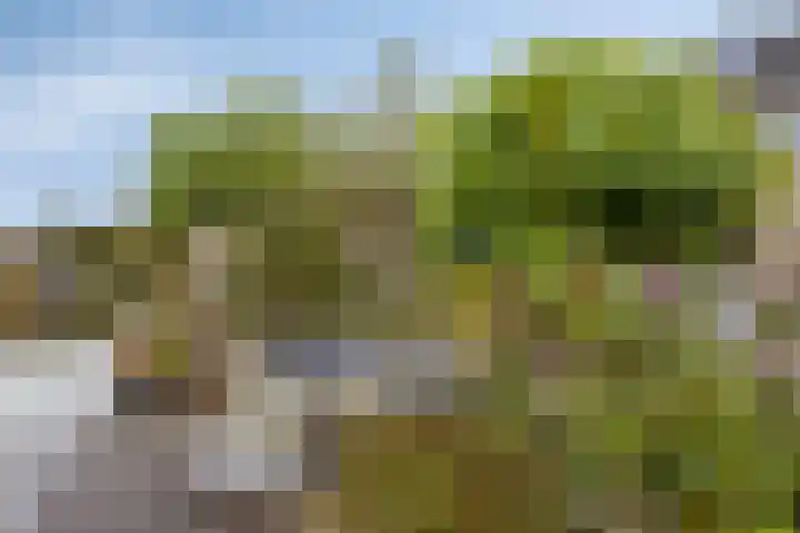 Korenmolen 17 Nieuwe Niedorp thumbnail 41