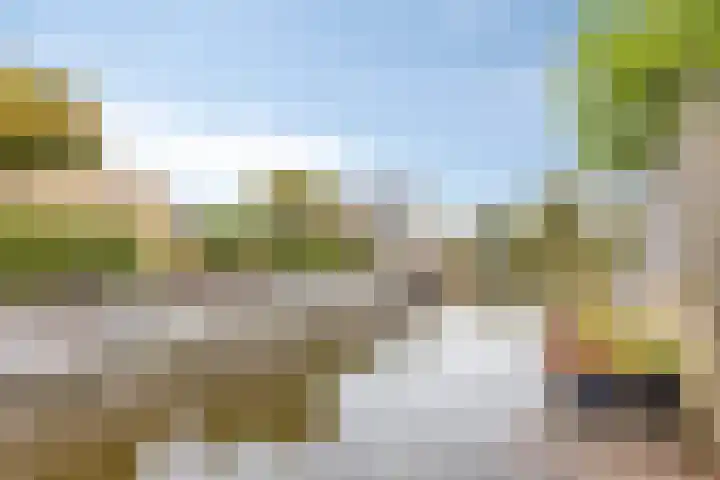 Korenmolen 17 Nieuwe Niedorp thumbnail 42