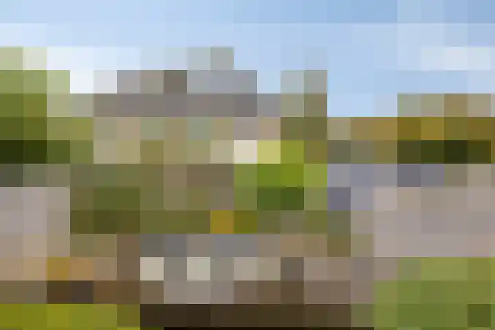 Korenmolen 17 Nieuwe Niedorp thumbnail 43
